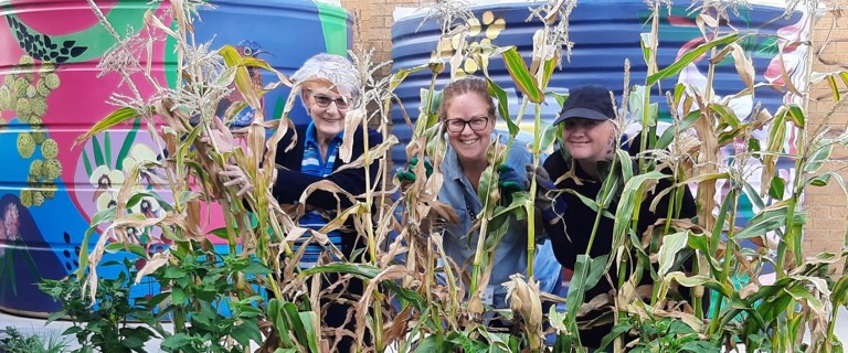 Community gardens Community gardens